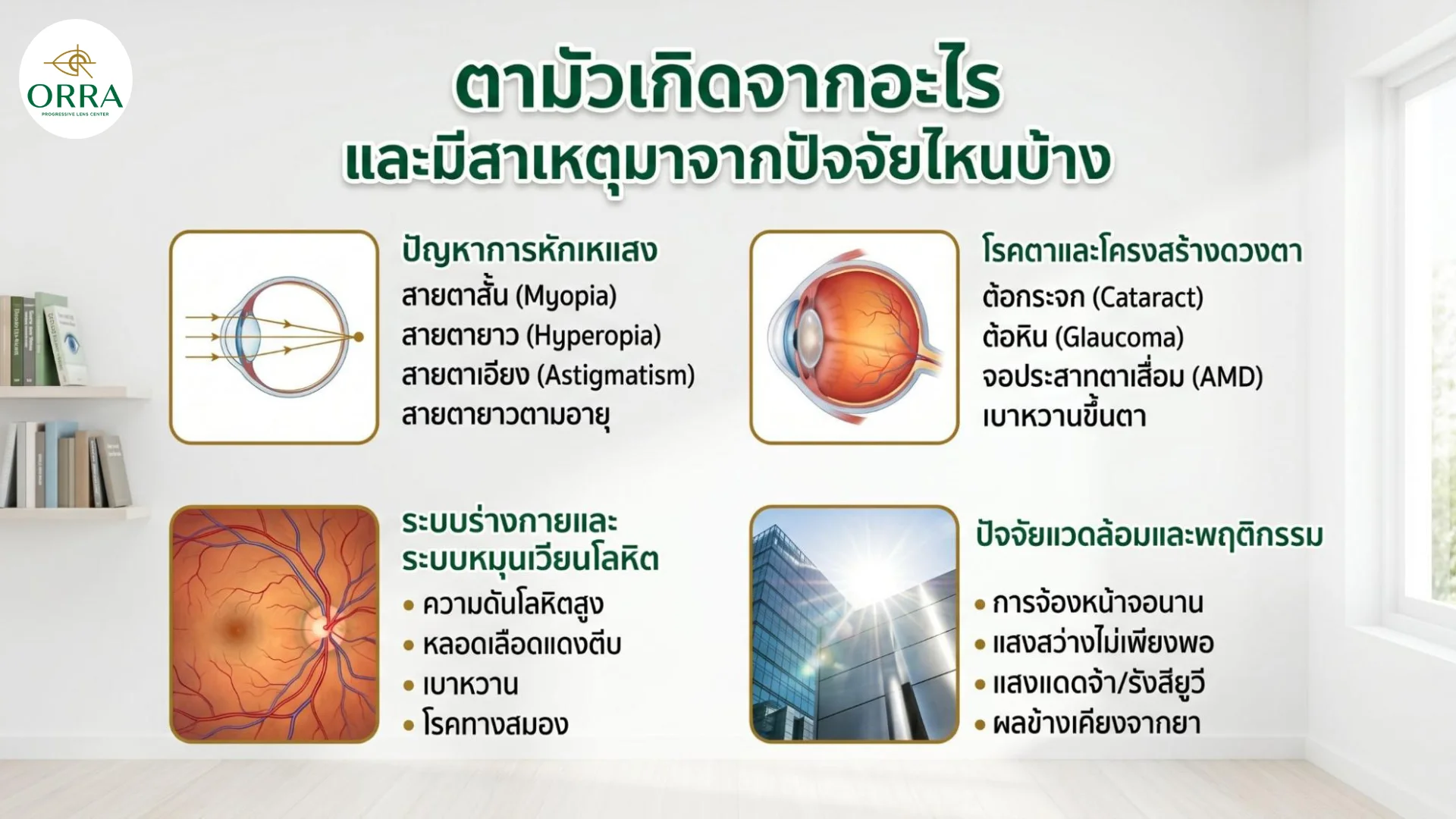causes of blurred vision eye problems สาเหตุของอาการตามัวจากปัญหาการหักเหแสง โรคตา ระบบร่างกาย และปัจจัยแวดล้อม