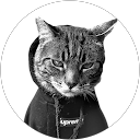 Ammarin T. profile picture