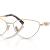 0TF1172B 6021 P21 shad qt